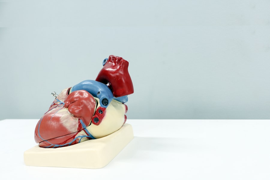 Photo health and heart